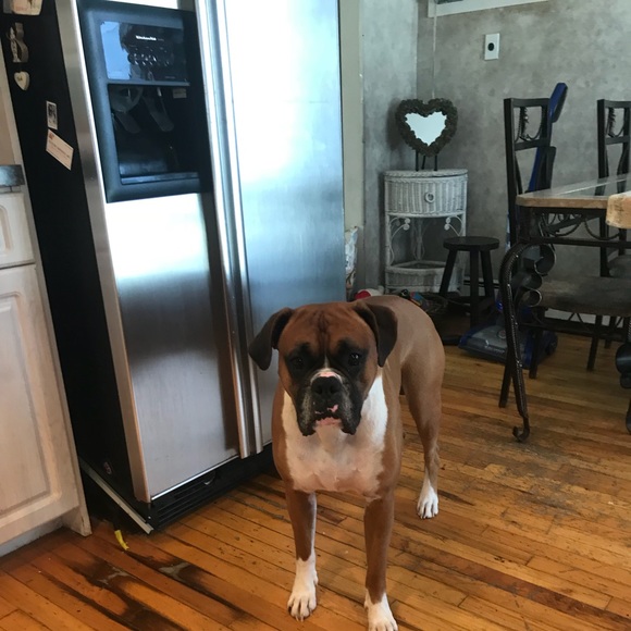 Slacks - Picture 7 of 7